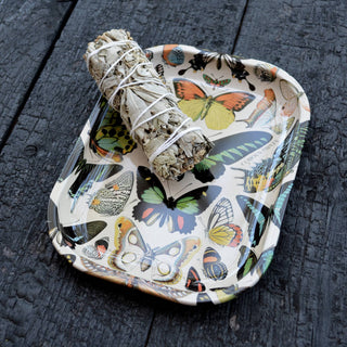 Small Metal Butterfly  Tray / Vintage Butterflies Dish
