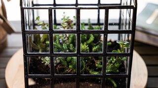 Urban Born Lattice House Terrarium: Glass Succulent Planter