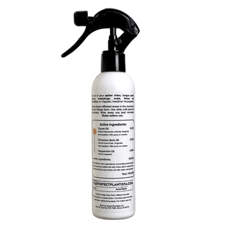 house plant pest spray Natural + Non-Toxic Houseplant Pest Spray: 16oz