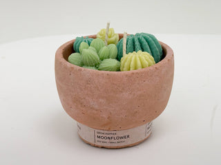 Succulent Candle - Concrete Plant Candle 