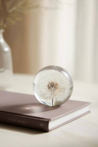 Dandelion Botanical Resin Paperweight BLOOMIST