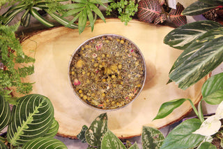 Herbal Steam Facial Blend Seattle Seed CO
