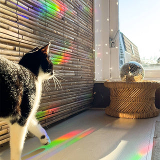 Rainbow Maker Sticker - Greenhouse Glow BOTANOTOPIA