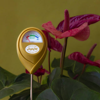 Moisture Meter |   Garden Party Box