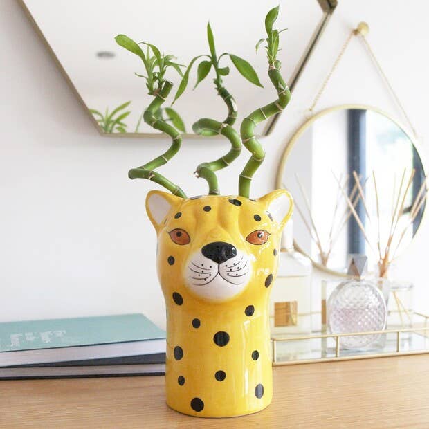 leopard head plant pot Ceramic Leopard Head Vase Lisa Angel Homeware Collection Animal Bust Maximalism