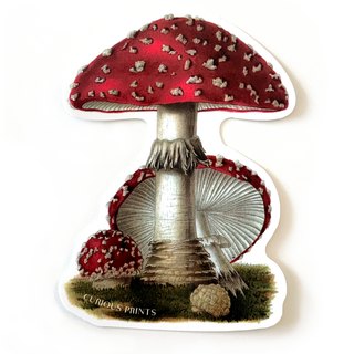 Vintage Magic Mushroom Waterproof Sticker
