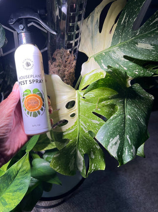 Natural + Non-Toxic Houseplant Pest Spray