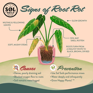 Soil (1Gal) Houseplant Chunky Mix (Aroid/Tropical Mix)