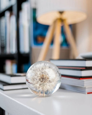 Dandelion Botanical Resin Paperweight BLOOMIST