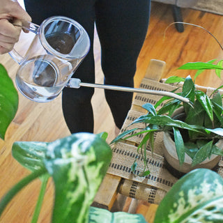 Best Watering Can | Houseplant Care + Indoor Gardens
