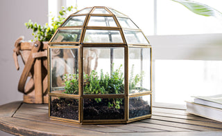 Urban Born Large Birdcage Terrarium: Glass Indoor Display