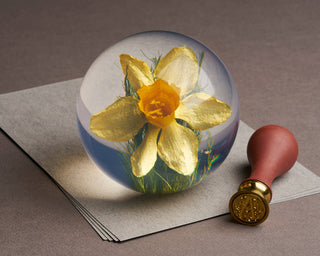 Daffodil Paperweight