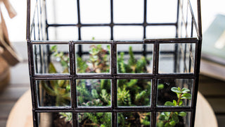 Urban Born Lattice House Terrarium: Glass Succulent Planter